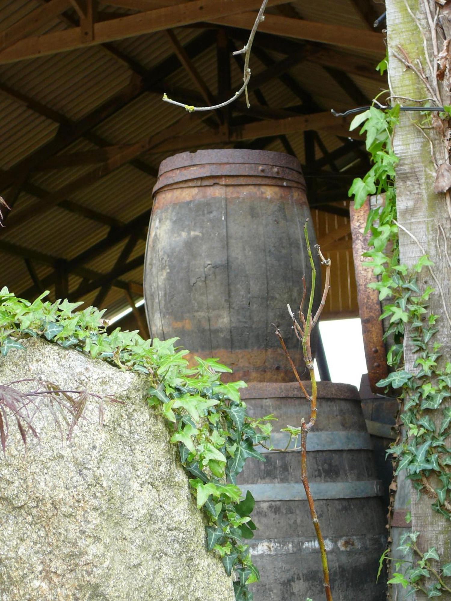 La Ferme De Kerhors Hotel Tremeoc Exterior photo